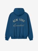 Essential Mets Sport Hoodie